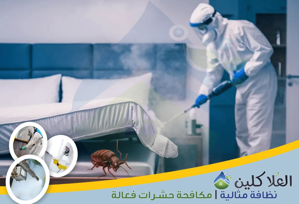 أرقام شركة مكافحة بق الفراش بالخبر