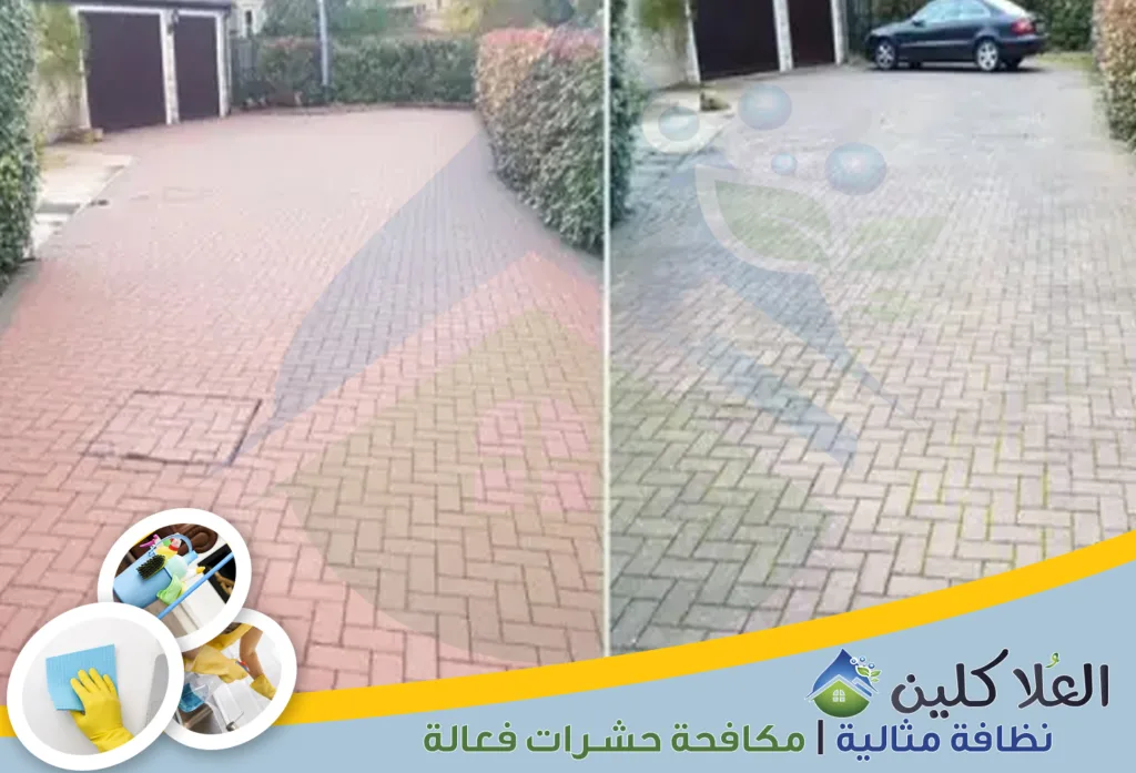 أرخص شركة تنظيف أحواش بالخبر