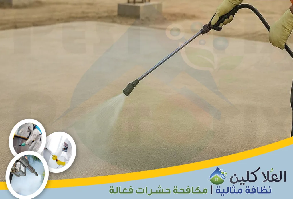 أرخص شركة رش دفان بالدمام لمكافحة النمل الأبيض قبل البناء