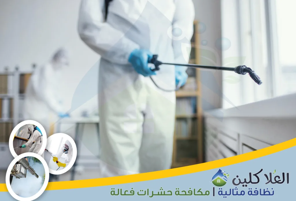 أفضل شركة مكافحة حشرات بالخبر