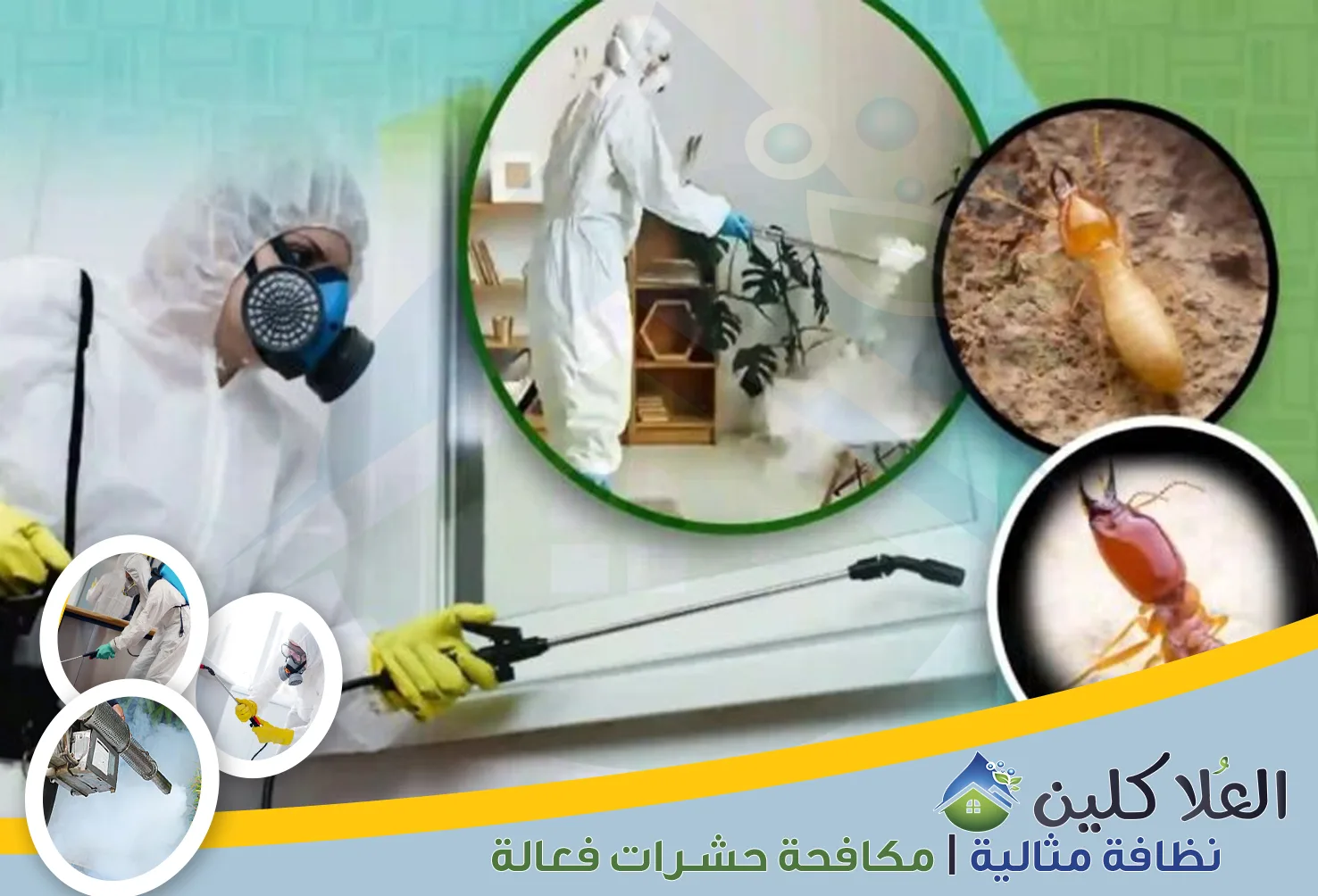 شركة مكافحة حشرات بالدمام | 0564040671 | إبادة تامة بالضمان