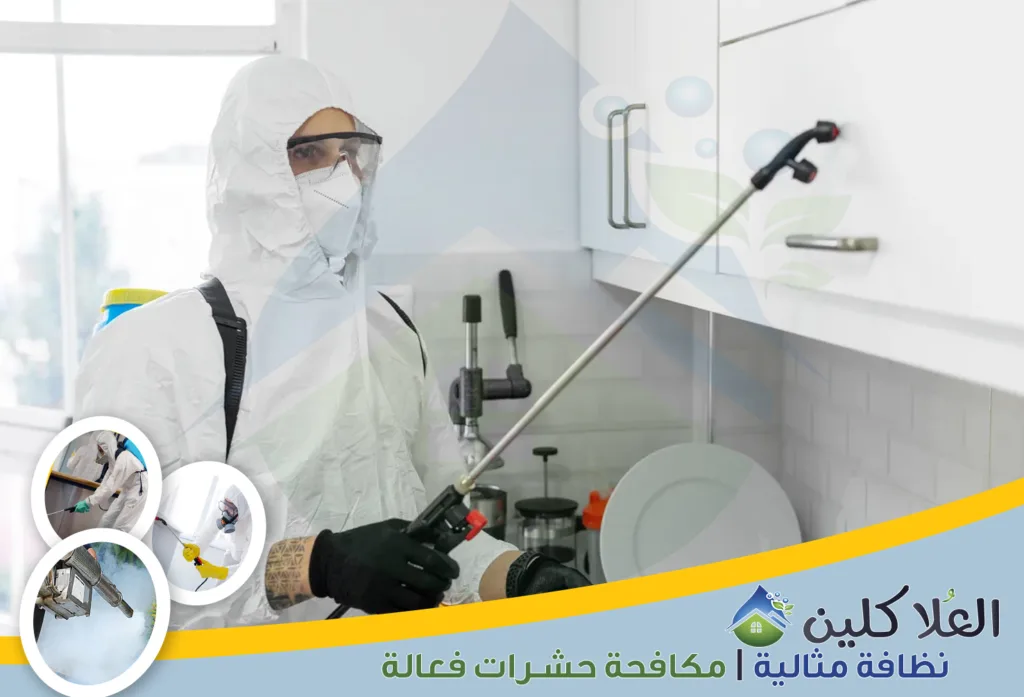 أرخص شركة رش مبيدات بالخبر