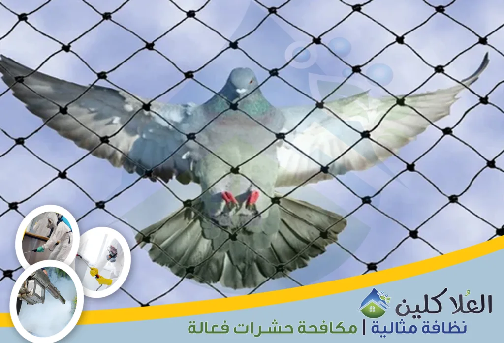 أفضل شركة تركيب طارد حمام بالخبر