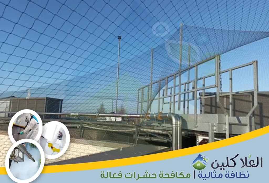 أرقام شركة تركيب طارد الحمام بالخبر | شركة مكافحة الحمام بالخبر