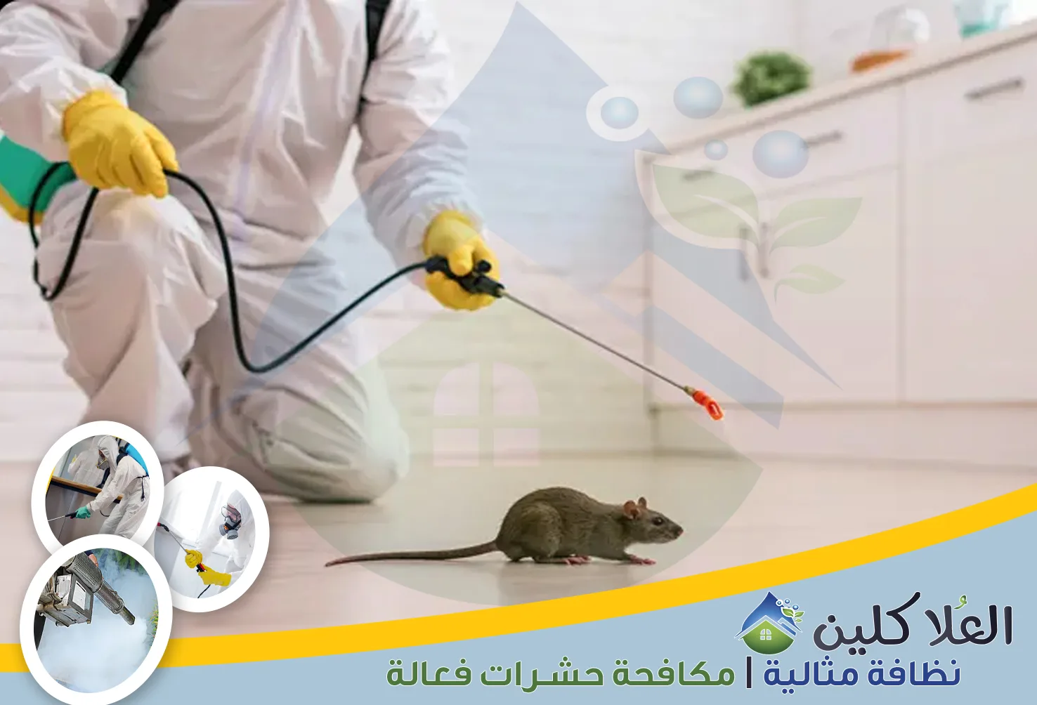 شركة مكافحة الفئران بالخبر | 0564040671 | إبادة القوارض بالضمان