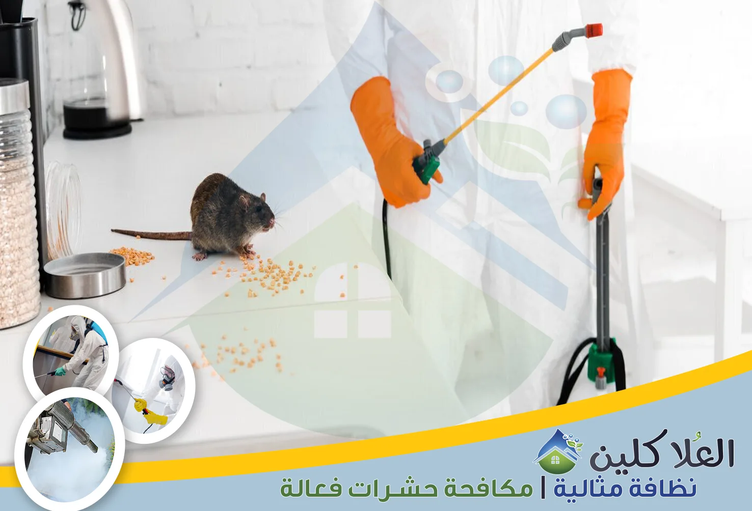 شركة مكافحة الفئران بالدمام | 0564040671 | إبادة القوارض بالضمان