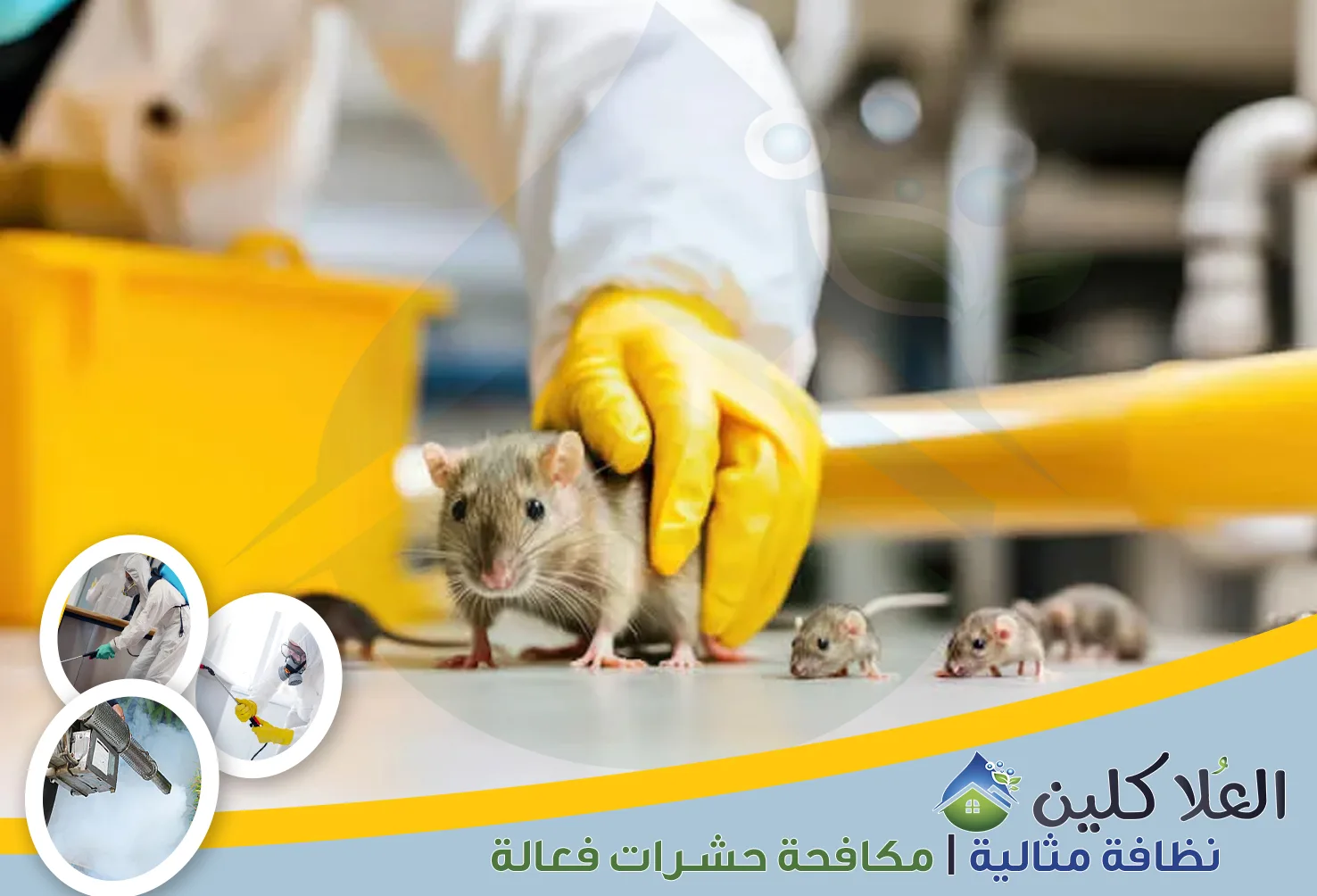 إذا كنت تبحث عن نظافة متكاملة للمنزل، فأنت في المكان الصحيح. نحن نهتم بكل التفاصيل لنضمن لك بيئة نظيفة وصحية