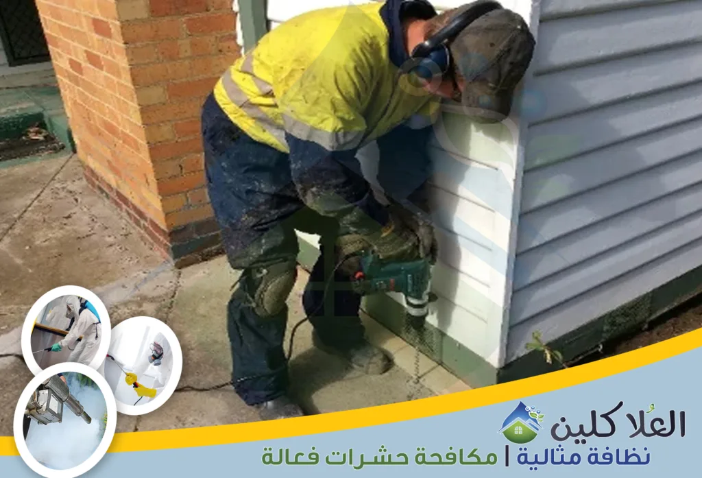أرقام شركة مكافحة النمل الأبيض بالدمام