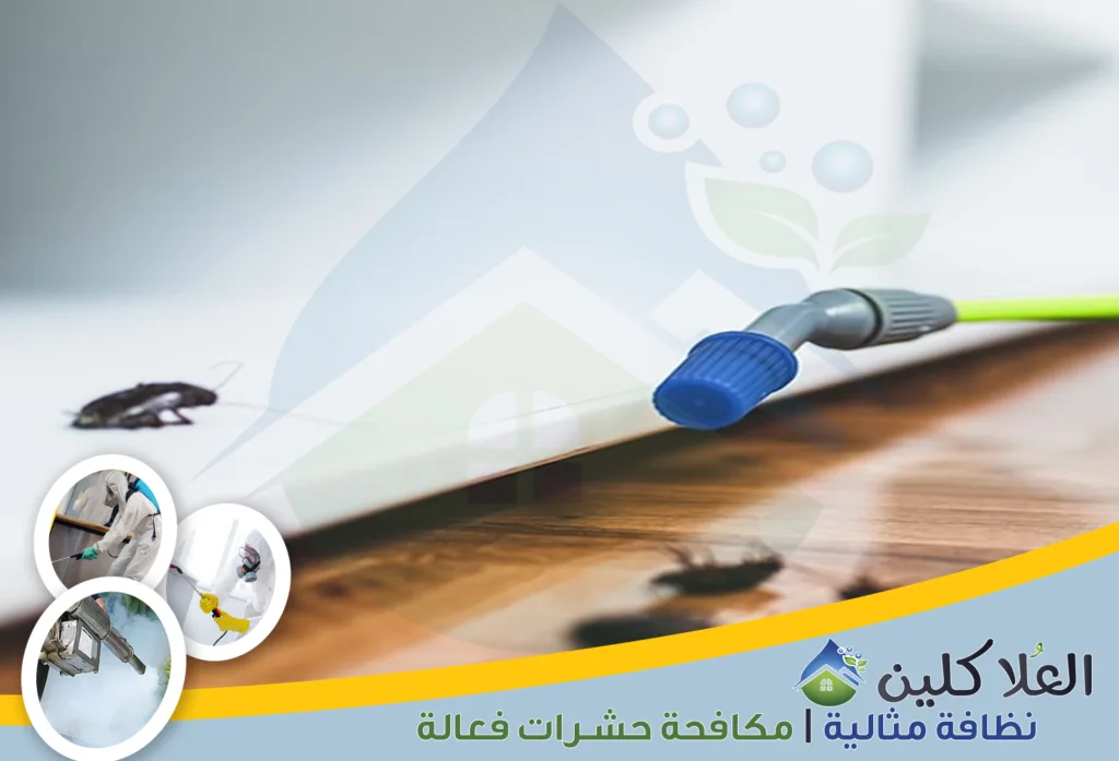 أرخص شركة مكافحة صراصير في الخبر | إبادة تامة بالضمان