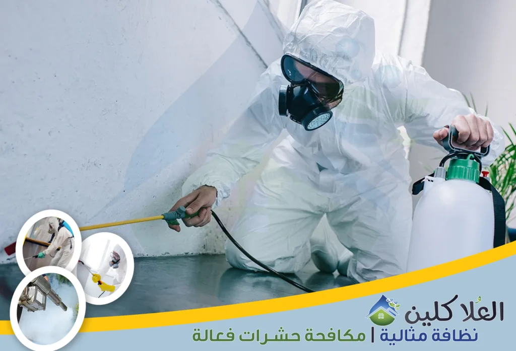 أرخص شركات مكافحة الصراصير في الخبر | إبادة تامة بالضمان