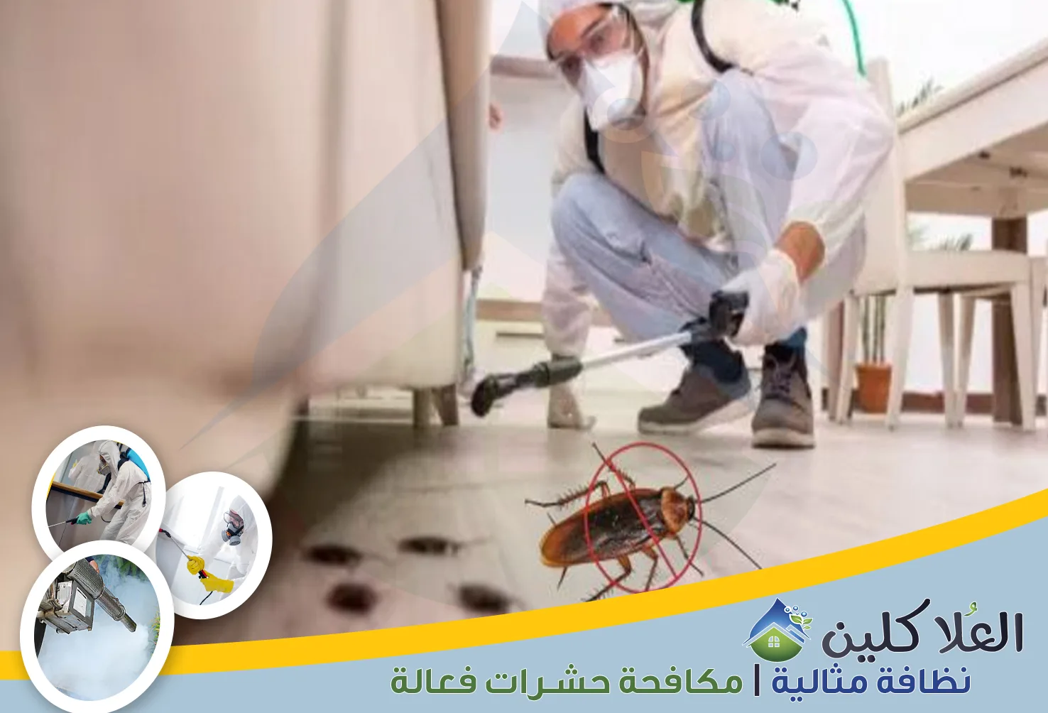 شركة مكافحة الصراصير بالخبر | 0564040671 | إبادة تامة بالضمان