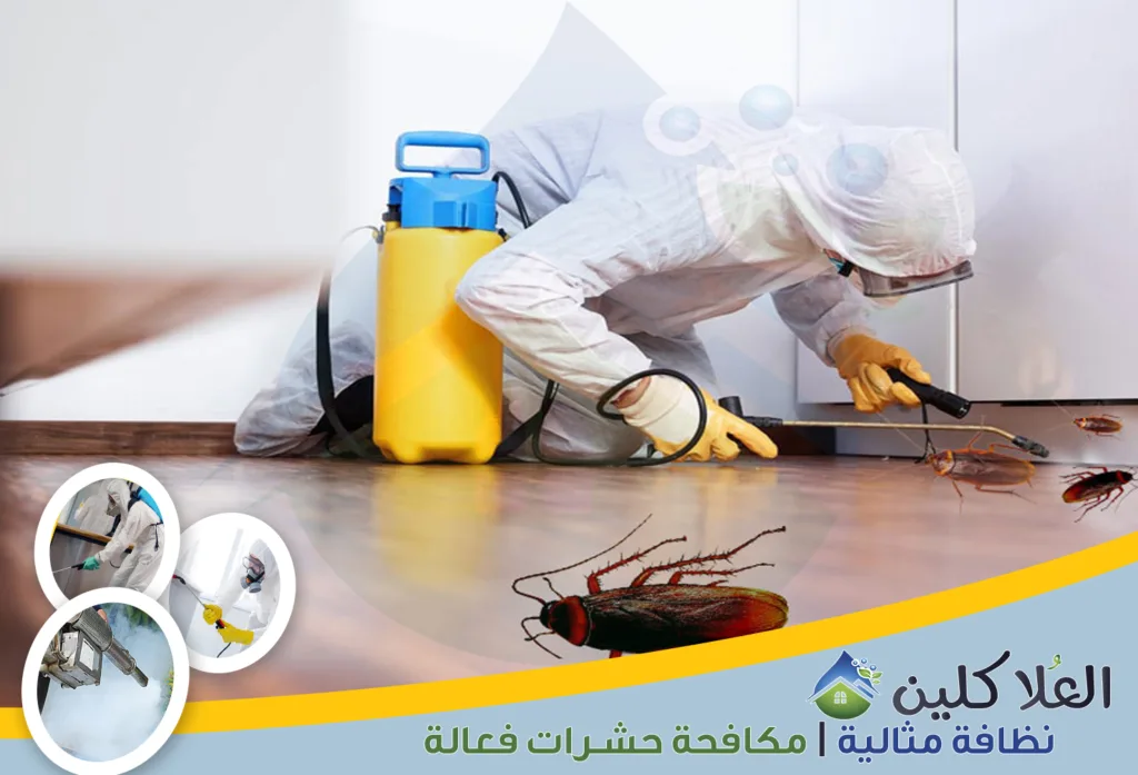 أفضل شركة مكافحة صراصير بالدمام