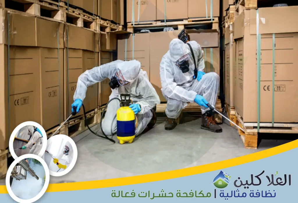 شركات مكافحة الحشرات بحفر الباطن