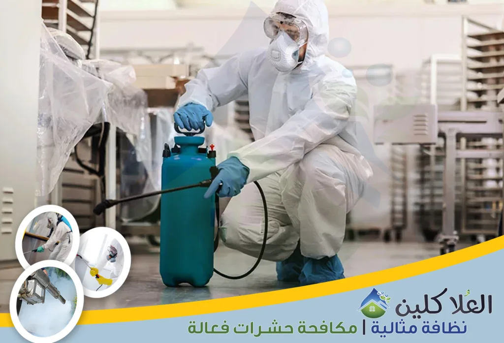 شركة مكافحة النمل الابيض بحفر الباطن