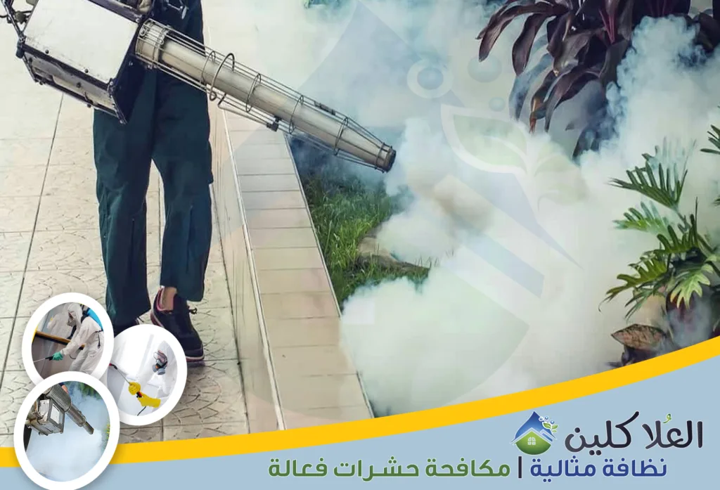 شركة مكافحة الحشرات بحفر الباطن