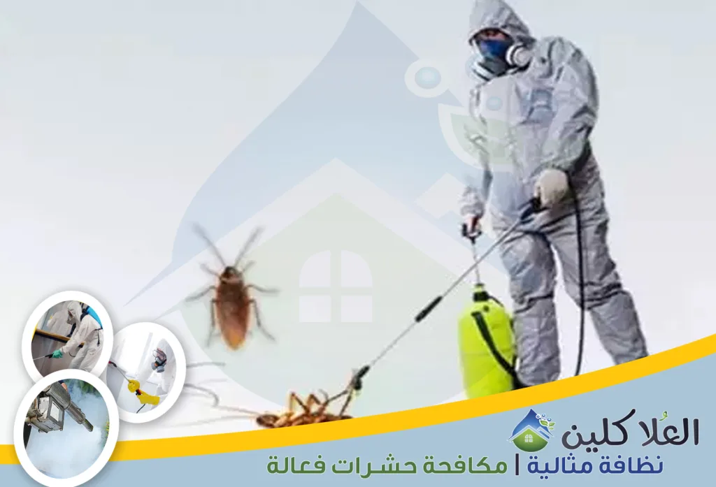 أرخص شركة مكافحة الصراصير بحفر الباطن