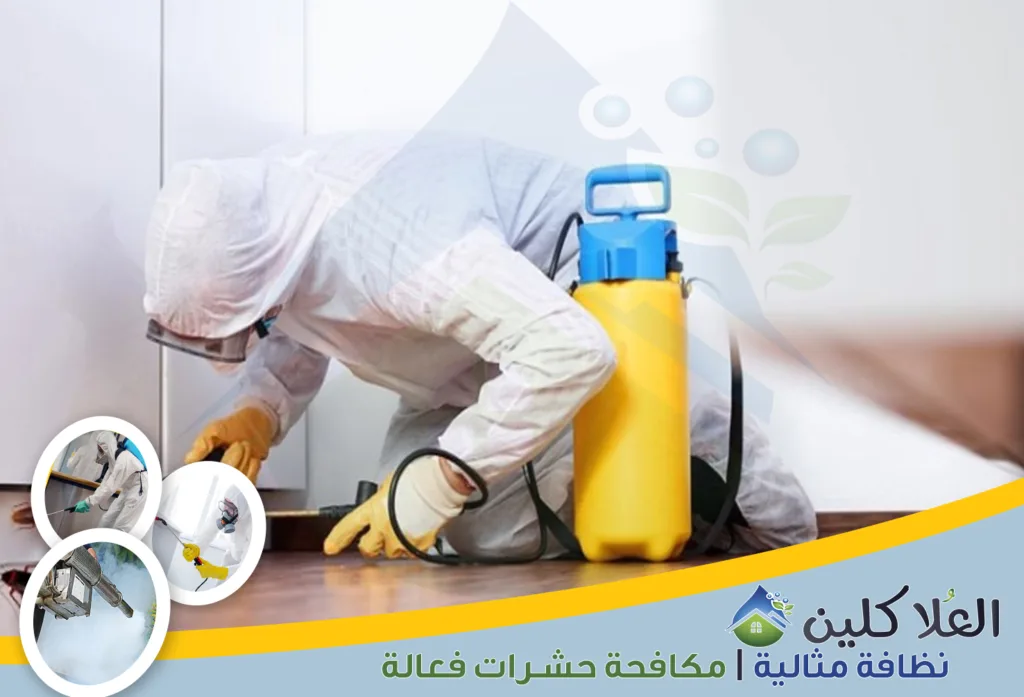 شركة رش صراصير بحفر الباطن