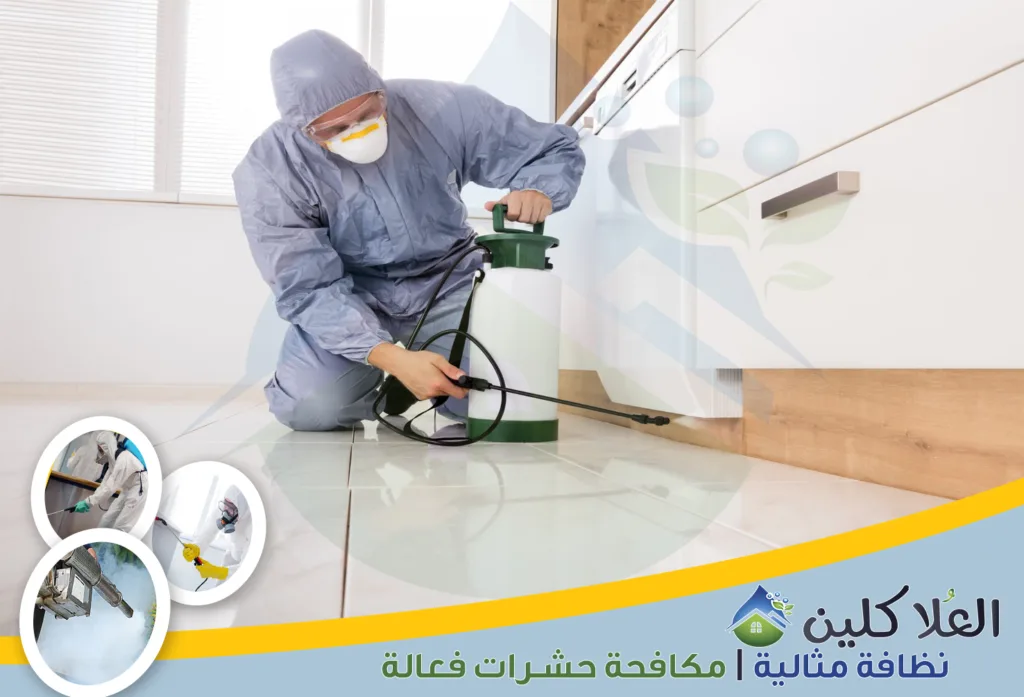 شركة مكافحة صراصير في حفر الباطن