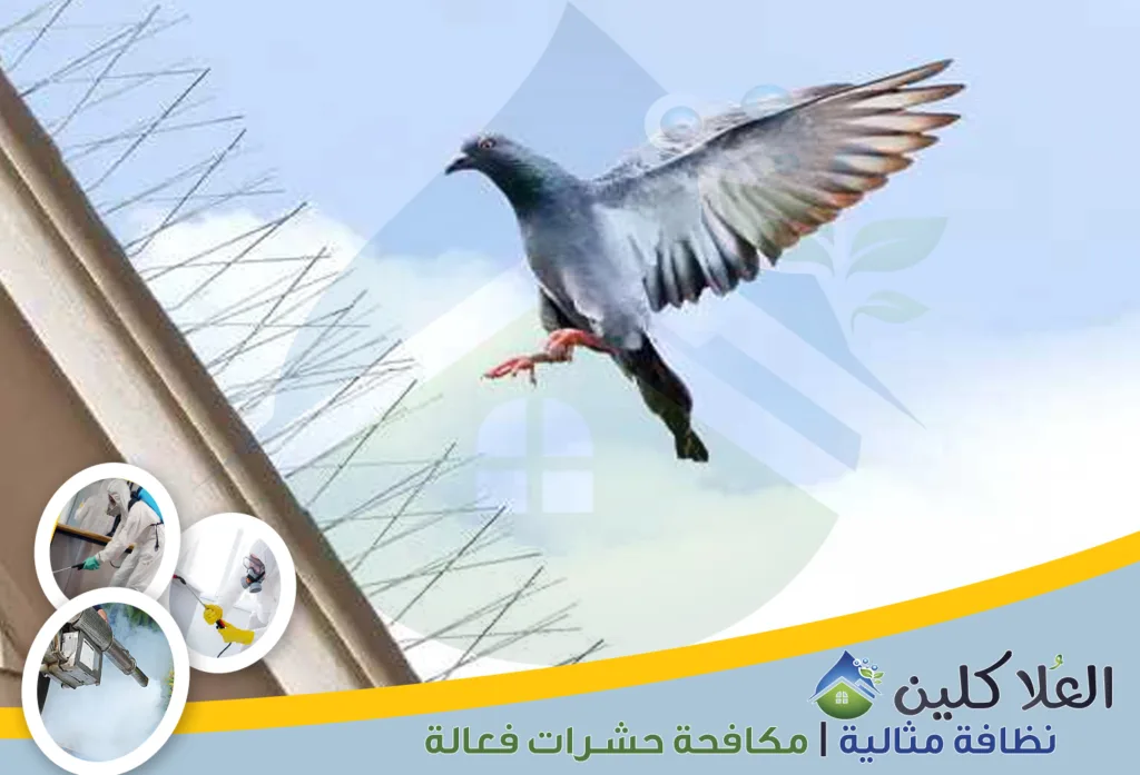 أرخص شركة تركيب شبك حمام بحفر الباطن