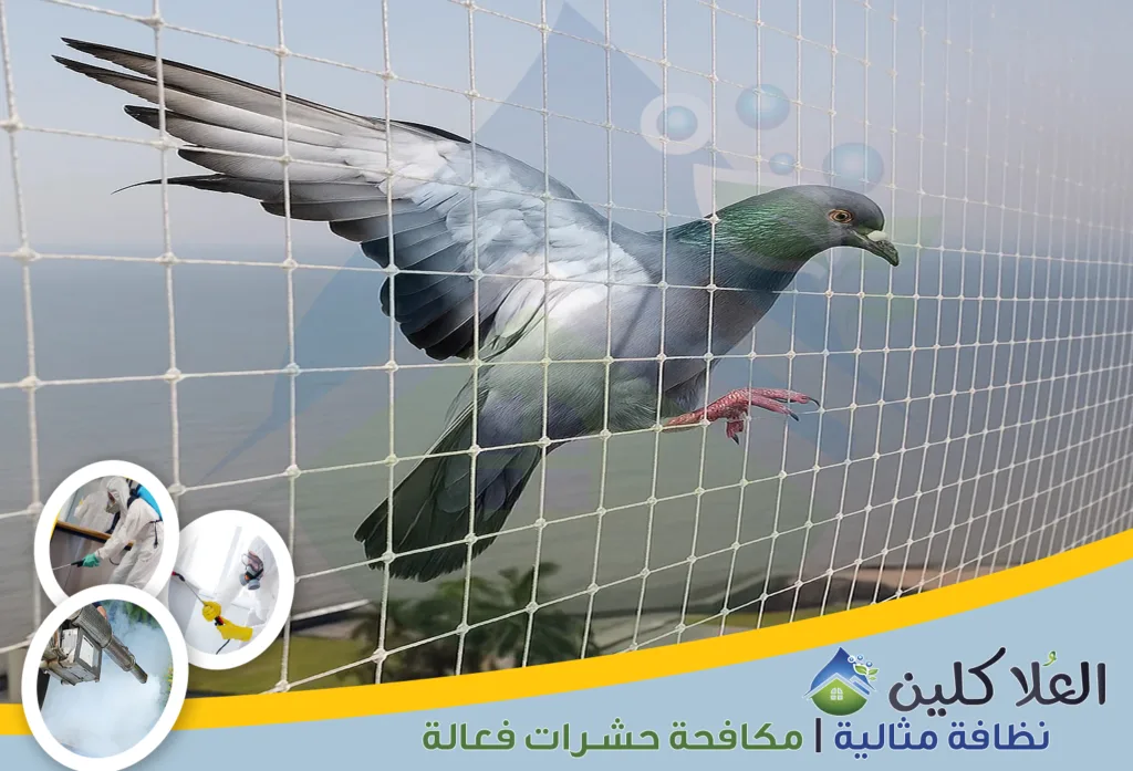 شركة تركيب طارد حمام بحفر الباطن | 0564040671 | مكافحة الحمام بالضمان